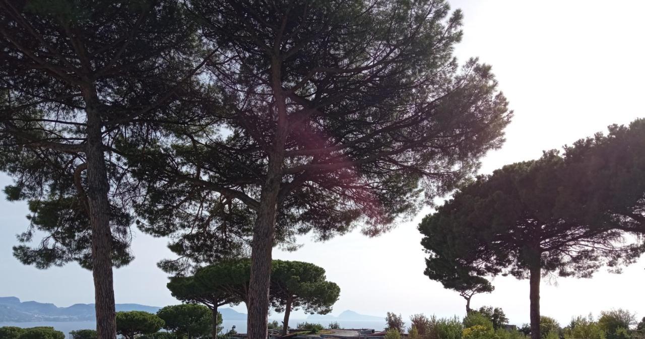 Vesuvio Casa De Charme Panzió Trecase Kültér fotó