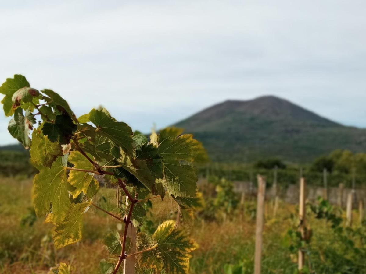 Vesuvio Casa De Charme Panzió Trecase Kültér fotó